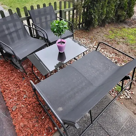 Albatros Black * Gdańsk