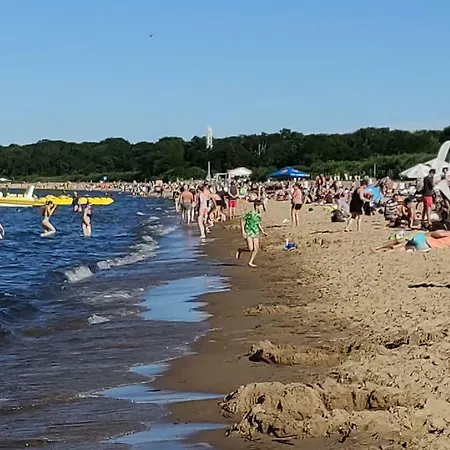 Albatros Black Danzica