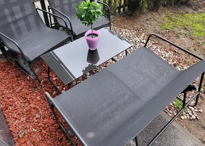 Albatros Black * Gdańsk