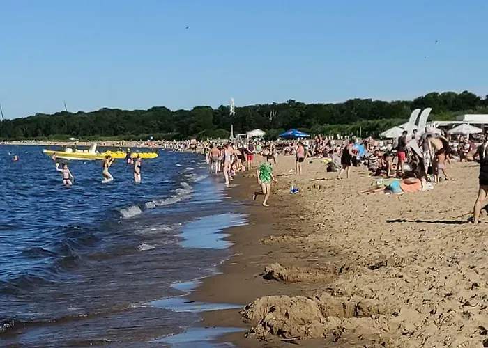 Albatros Black Gdańsk